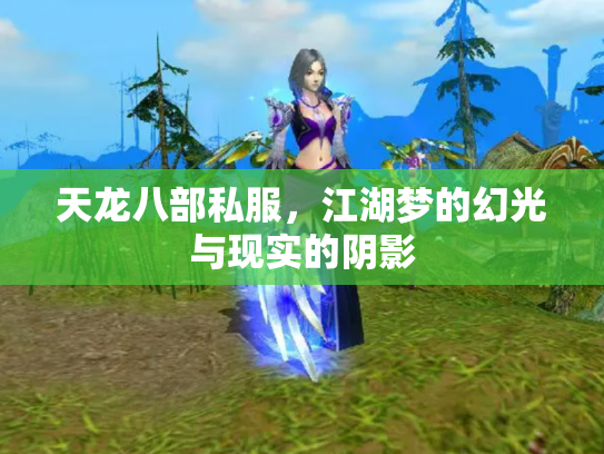 天龙八部私服，江湖梦的幻光与现实的阴影