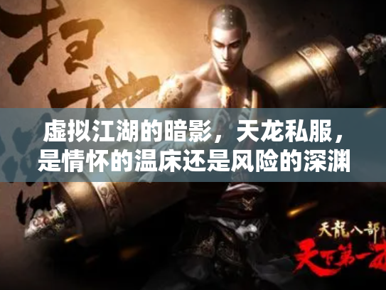虚拟江湖的暗影，天龙私服，是情怀的温床还是风险的深渊？