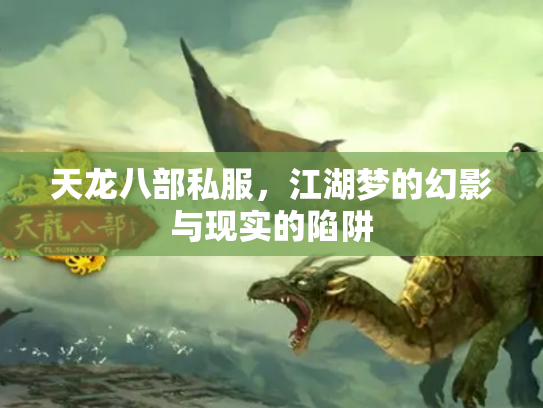 天龙八部私服，江湖梦的幻影与现实的陷阱