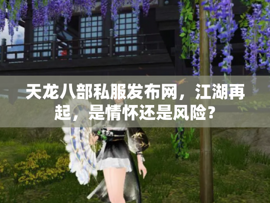 天龙八部私服发布网，江湖再起，是情怀还是风险？