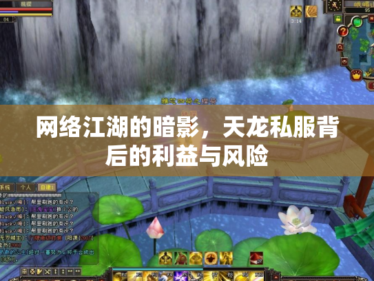 网络江湖的暗影，天龙私服背后的利益与风险