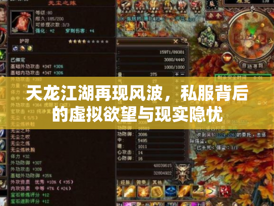 天龙江湖再现风波，私服背后的虚拟欲望与现实隐忧