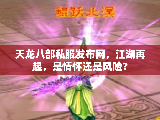 天龙八部私服发布网，江湖再起，是情怀还是风险？