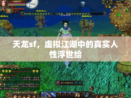 天龙sf，虚拟江湖中的真实人性浮世绘