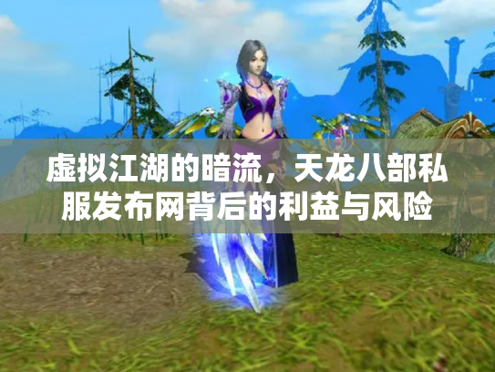 虚拟江湖的暗流，天龙八部私服发布网背后的利益与风险