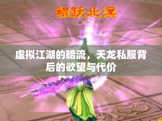 虚拟江湖的暗流，天龙私服背后的欲望与代价