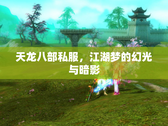 天龙八部私服，江湖梦的幻光与暗影