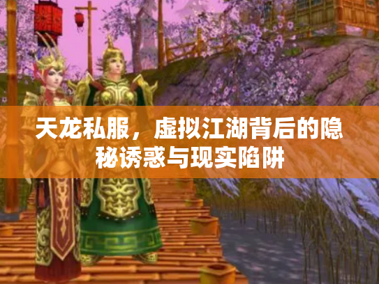 天龙私服，虚拟江湖背后的隐秘诱惑与现实陷阱