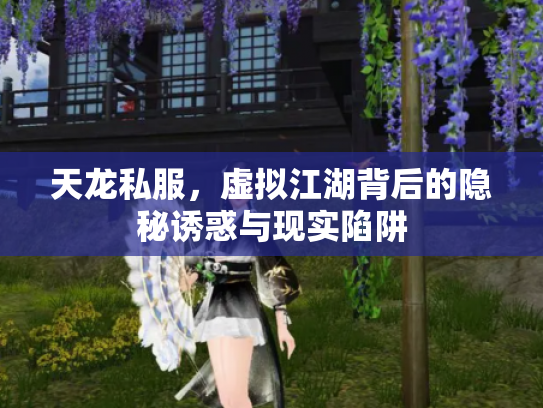 天龙私服，虚拟江湖背后的隐秘诱惑与现实陷阱
