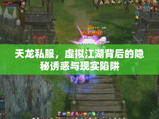 天龙私服，虚拟江湖背后的隐秘诱惑与现实陷阱