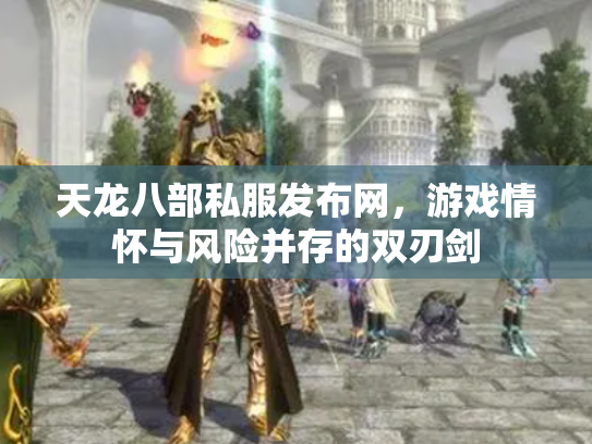 天龙八部私服发布网，游戏情怀与风险并存的双刃剑