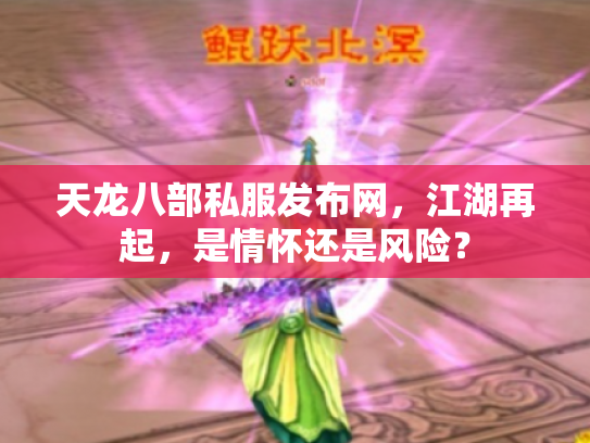 天龙八部私服发布网，江湖再起，是情怀还是风险？