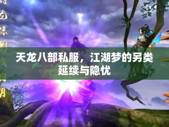 天龙八部私服，江湖梦的另类延续与隐忧