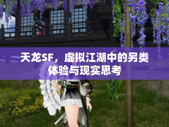 天龙SF，虚拟江湖中的另类体验与现实思考