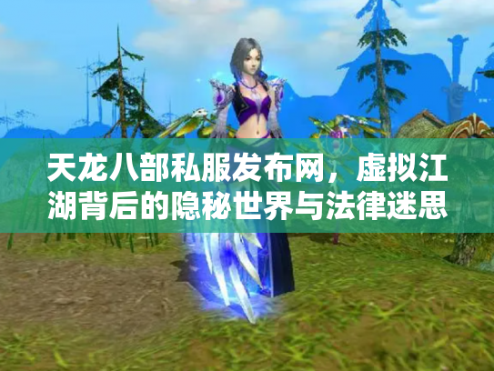 天龙八部私服发布网，虚拟江湖背后的隐秘世界与法律迷思