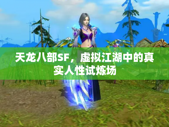 天龙八部SF，虚拟江湖中的真实人性试炼场