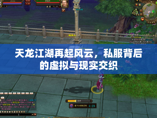 天龙江湖再起风云，私服背后的虚拟与现实交织