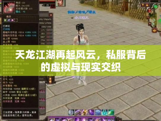 天龙江湖再起风云，私服背后的虚拟与现实交织