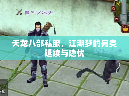 天龙八部私服，江湖梦的另类延续与隐忧