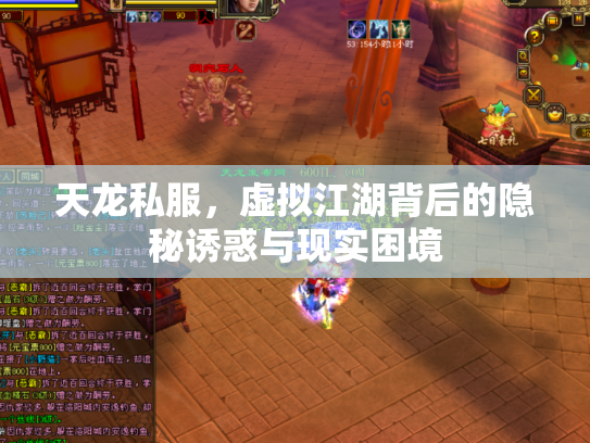 天龙私服，虚拟江湖背后的隐秘诱惑与现实困境