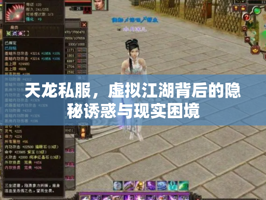 天龙私服，虚拟江湖背后的隐秘诱惑与现实困境