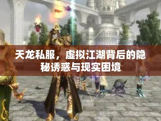 天龙私服，虚拟江湖背后的隐秘诱惑与现实困境