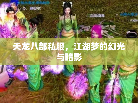 天龙八部私服，江湖梦的幻光与暗影
