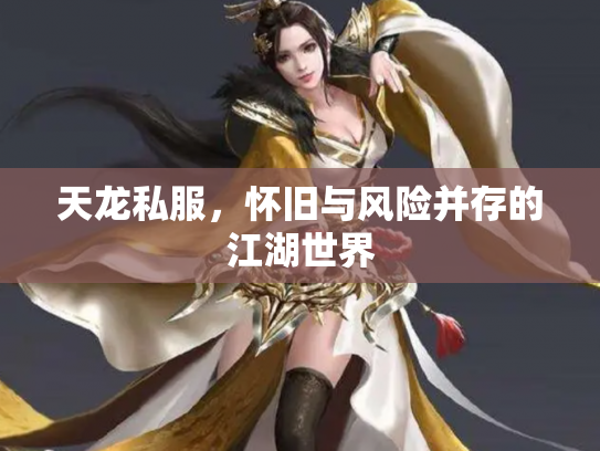 天龙私服，怀旧与风险并存的江湖世界