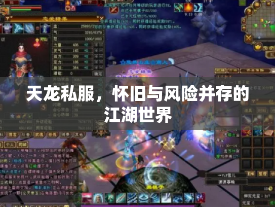 天龙私服，怀旧与风险并存的江湖世界
