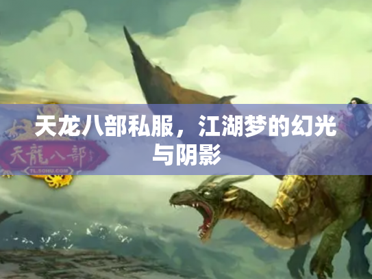 天龙八部私服，江湖梦的幻光与阴影