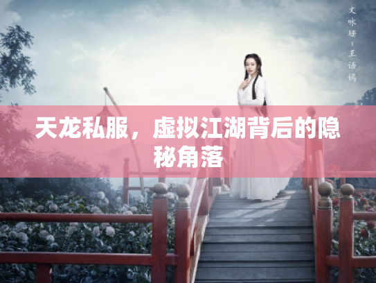 天龙私服，虚拟江湖背后的隐秘角落