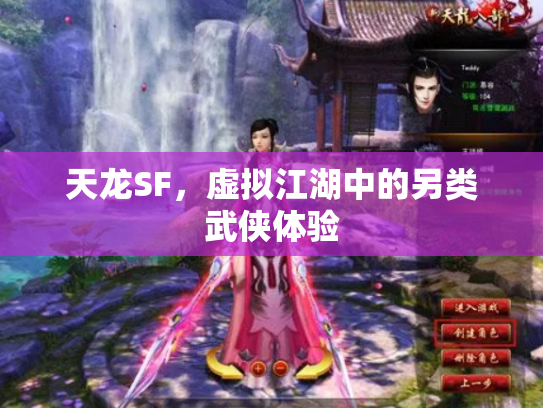 天龙SF，虚拟江湖中的另类武侠体验