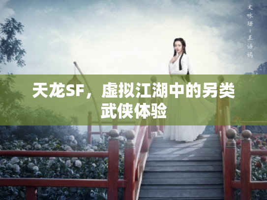 天龙SF，虚拟江湖中的另类武侠体验