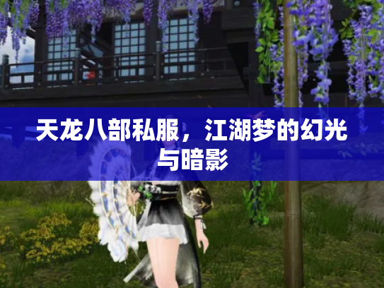 天龙八部私服，江湖梦的幻光与暗影