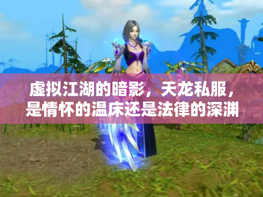 虚拟江湖的暗影，天龙私服，是情怀的温床还是法律的深渊？