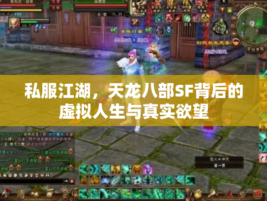 私服江湖，天龙八部SF背后的虚拟人生与真实欲望