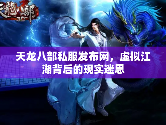天龙八部私服发布网，虚拟江湖背后的现实迷思