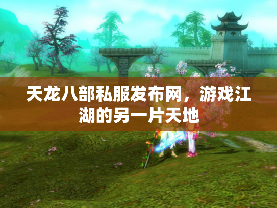 天龙八部私服发布网，游戏江湖的另一片天地