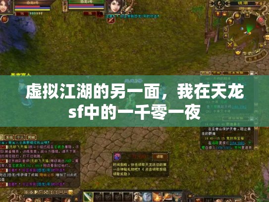 虚拟江湖的另一面，我在天龙sf中的一千零一夜