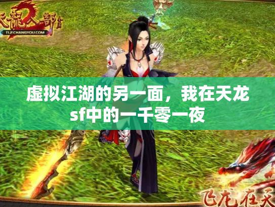 虚拟江湖的另一面，我在天龙sf中的一千零一夜