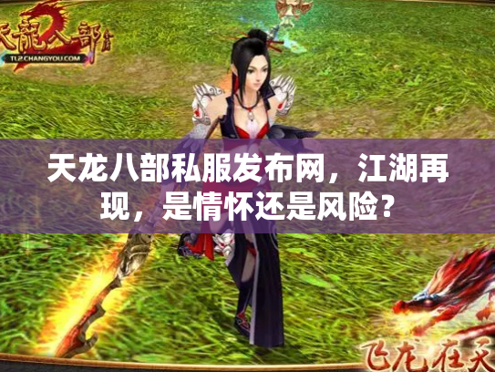 天龙八部私服发布网，江湖再现，是情怀还是风险？
