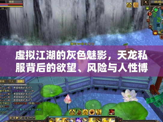 虚拟江湖的灰色魅影，天龙私服背后的欲望、风险与人性博弈