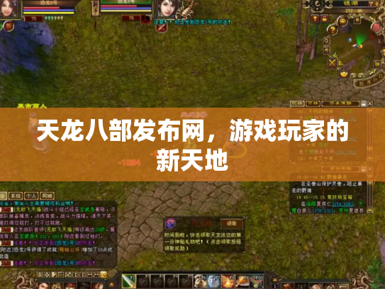 天龙八部发布网，游戏玩家的新天地