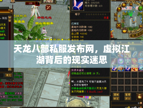 天龙八部私服发布网，虚拟江湖背后的现实迷思