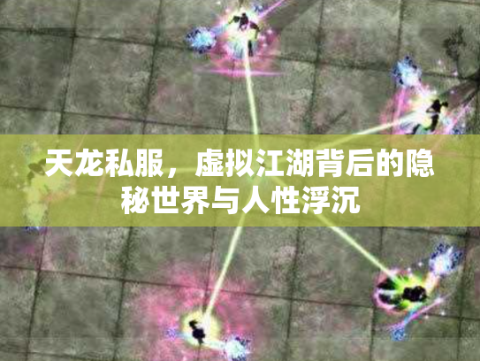 天龙私服，虚拟江湖背后的隐秘世界与人性浮沉