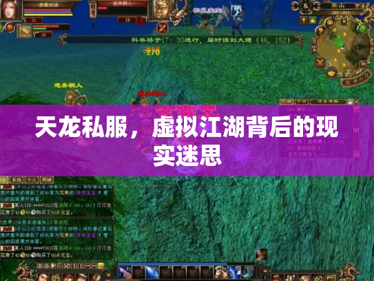 天龙私服，虚拟江湖背后的现实迷思