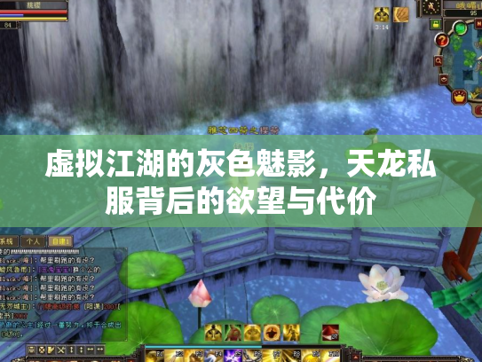 虚拟江湖的灰色魅影，天龙私服背后的欲望与代价