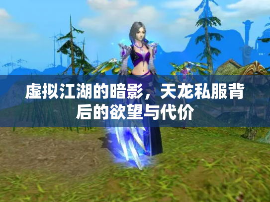 虚拟江湖的暗影，天龙私服背后的欲望与代价