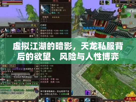 虚拟江湖的暗影，天龙私服背后的欲望、风险与人性博弈
