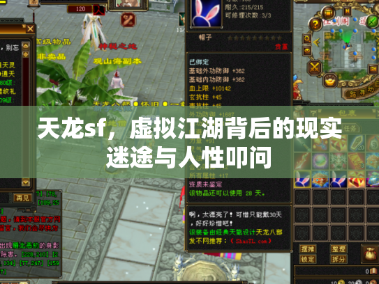 天龙sf，虚拟江湖背后的现实迷途与人性叩问